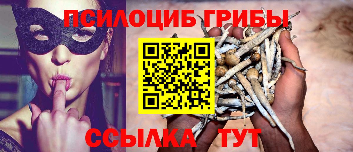 Галлюциногенные грибы ЛСД  Псилоцибиновые грибы Psilocybine cubensis  Трёхгорный  Вход с VPN 